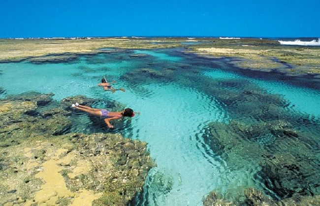 Visita histórica e panorâmica da cidade mais Praia do Forte e Ilha dos Frades - Tour de 3 días - Foto 6